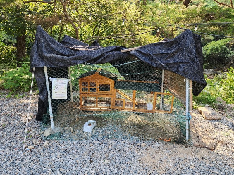 레드우드캠핑장 시설 사진 21