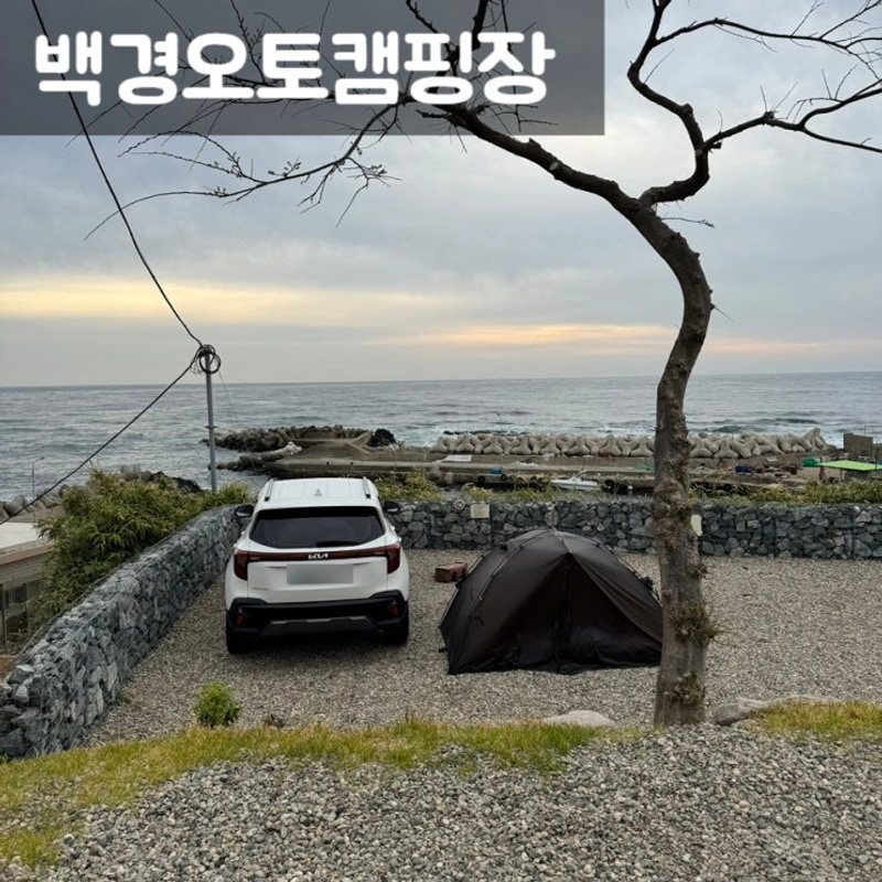[포항] 백경오토캠핑장 | 포항 오션뷰 오토캠핑장 14번 후기...