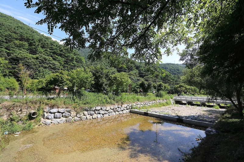 용두산오토캠핑장 시설 사진 2