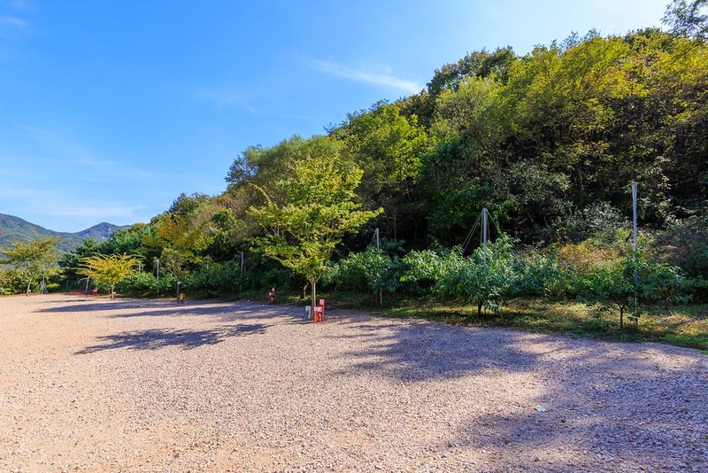 돌고래 오토 캠핑장 시설 사진 12