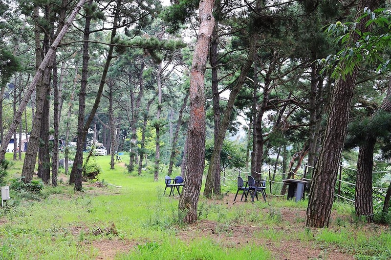 대부도 아라뜰 캠핑장 시설 사진 1