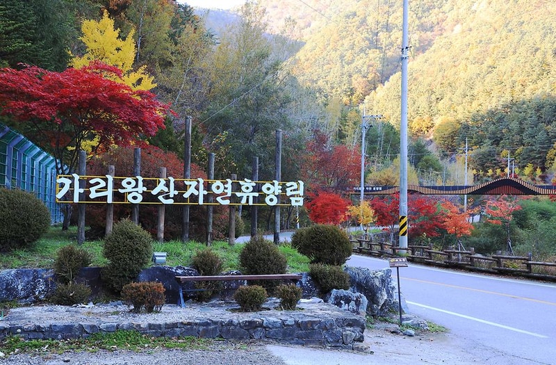 국립가리왕산자연휴양림 시설 사진 16