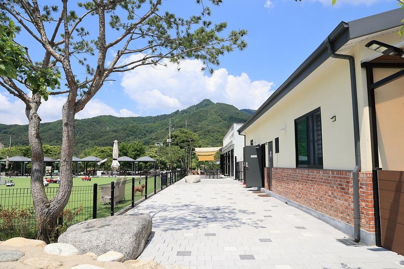 포레스트 시설 사진 8