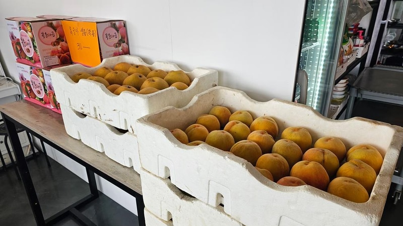 별빛마루 관광농원 시설 사진 37