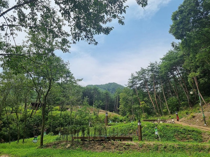 국립김천숲속야영장 시설 사진 9