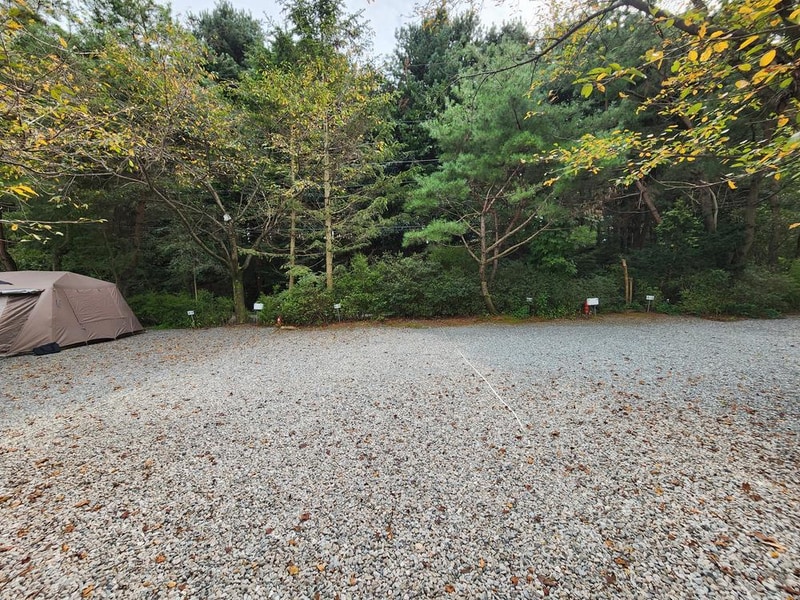 숲속에안뜰 캠핑장 시설 사진 5