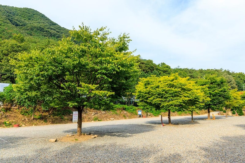 화양숲노리캠핑장 시설 사진 1