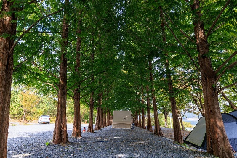 청풍호반 오토캠핑장 시설 사진 9