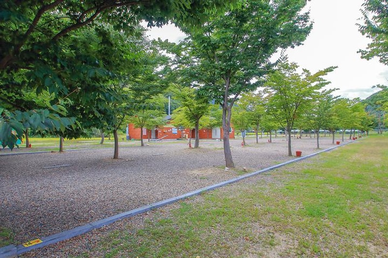 다놀자캠핑장 대표 사진