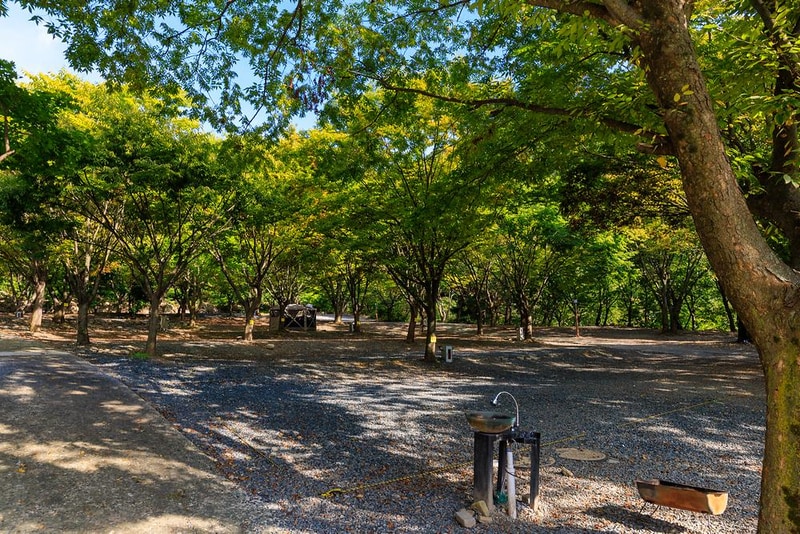 약초농원 캠핑장 시설 사진 12