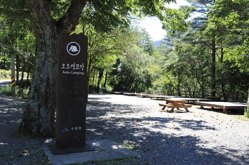 국립미천골자연휴양림 시설 사진 13
