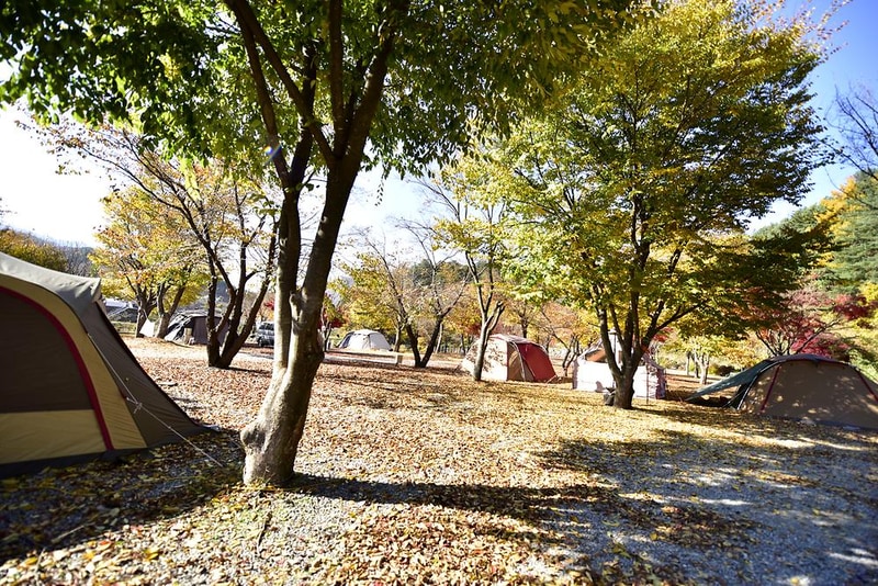 별빛오토캠핑장 시설 사진 6