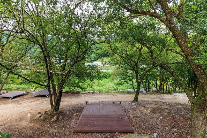 월성자연캠핑야영장 시설 사진 21