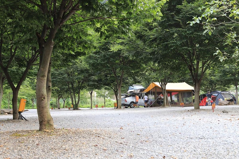 영월약수터 캠핑장 시설 사진 6