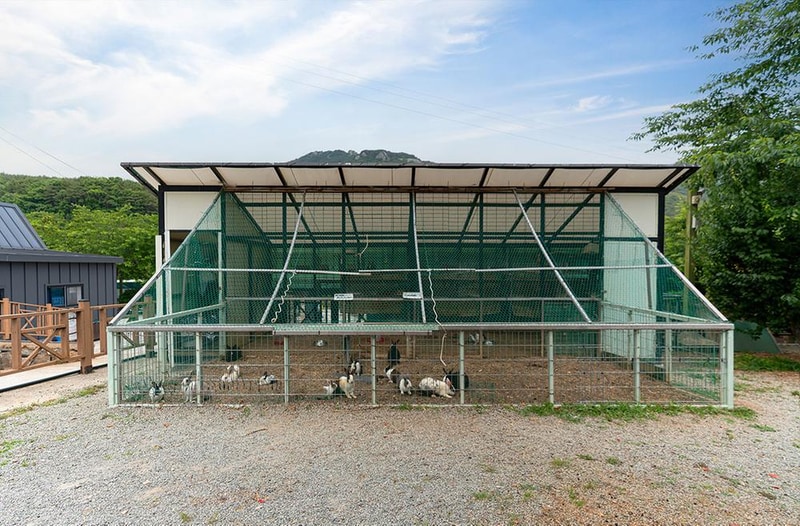 에이원 글램핑 관광농원 시설 사진 30