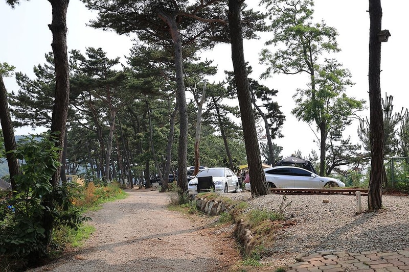 홀리데이캠핑파크 시설 사진 17