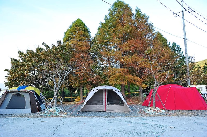 문화관광농원청소년야영장 시설 사진 11