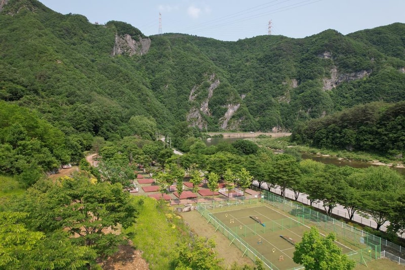 정선군생태체험학습장야영장 펫 동반 캠핑장 시설 사진 89