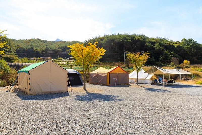 속리산365캠핑장 대표 사진