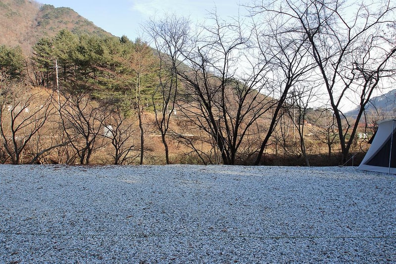 달재오토캠핑장 시설 사진 6