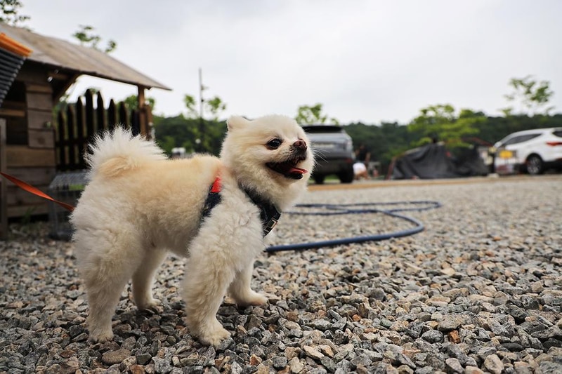 마실캠핑장 시설 사진 7