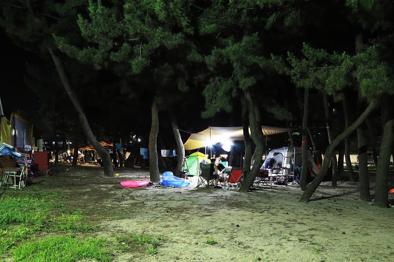 낙산해수욕장 야영장 시설 사진 9