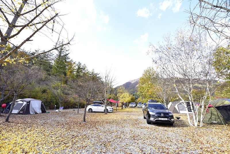 늘푸른쉼터 시설 사진 19