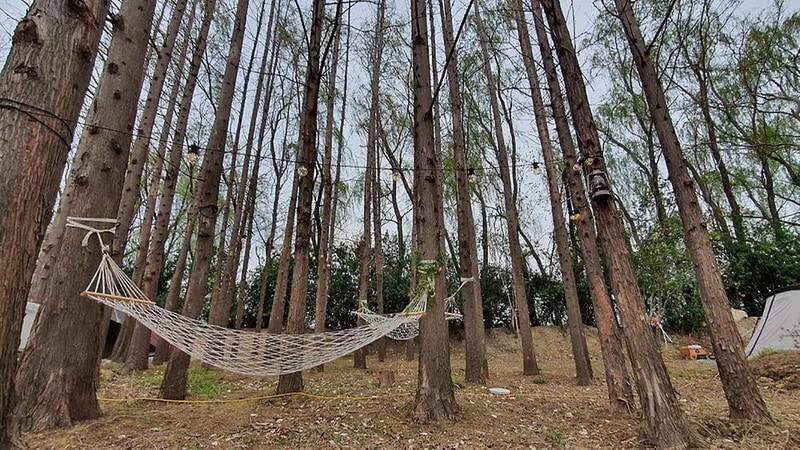 무릉관광농원 시설 사진 12