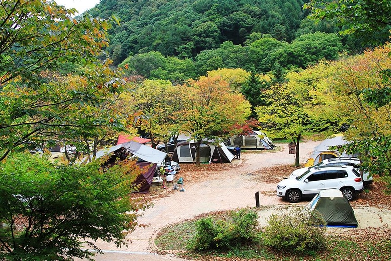 덕유대자동차야영장 시설 사진 55