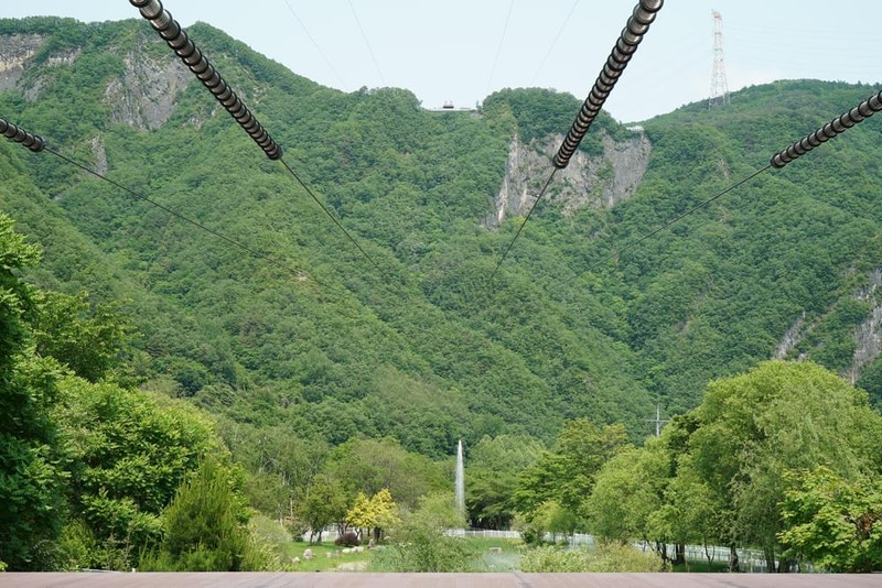 정선군생태체험학습장야영장 펫 동반 캠핑장 시설 사진 22