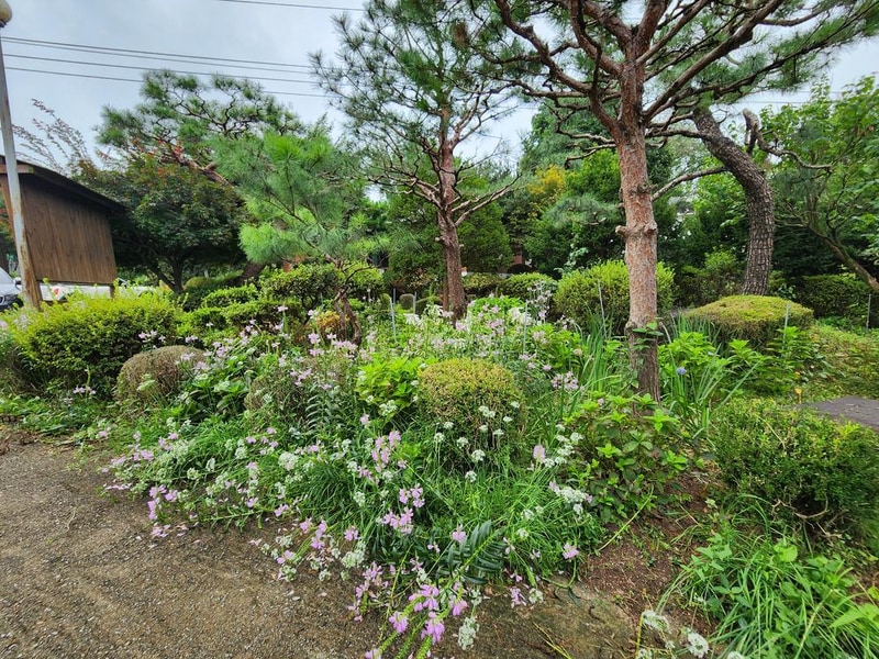 청암관광농원 시설 사진 26