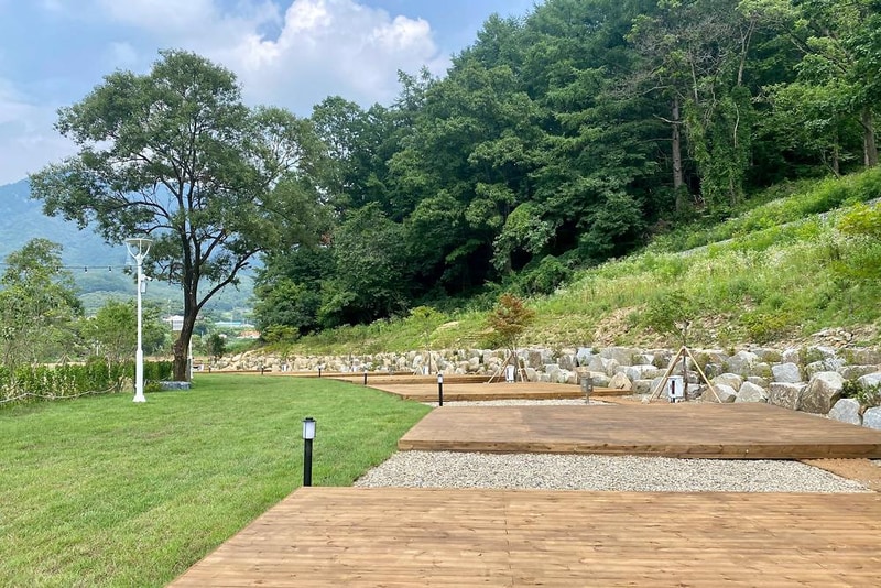 캠핑에 바나나 시설 사진 11