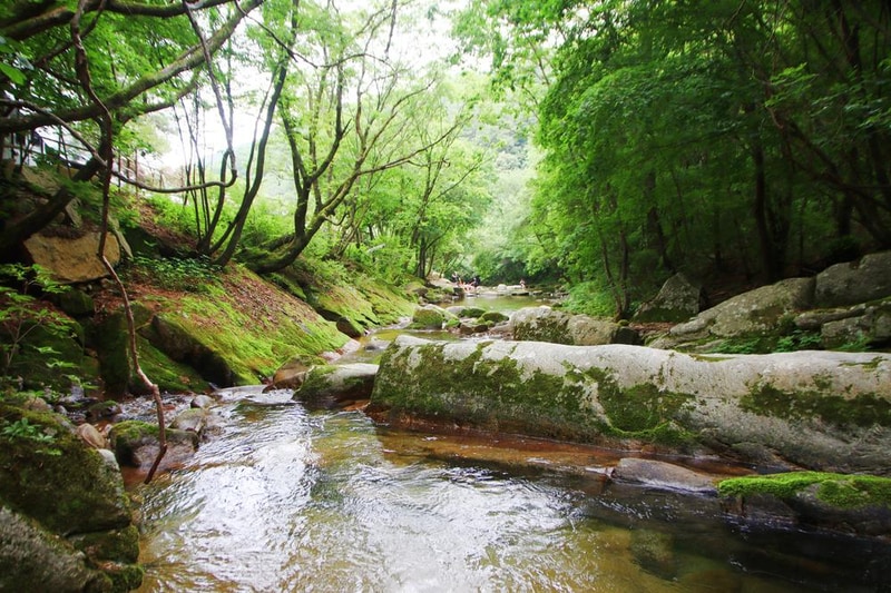 유포리아 캠핑장 시설 사진 7