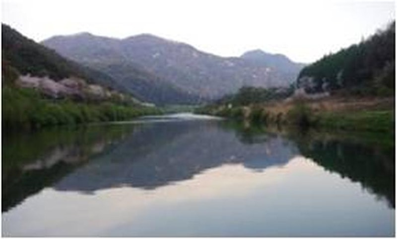 청천수목원 야영장 대표 사진