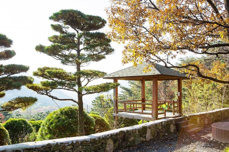 노꼬담꼬 시설 사진 34