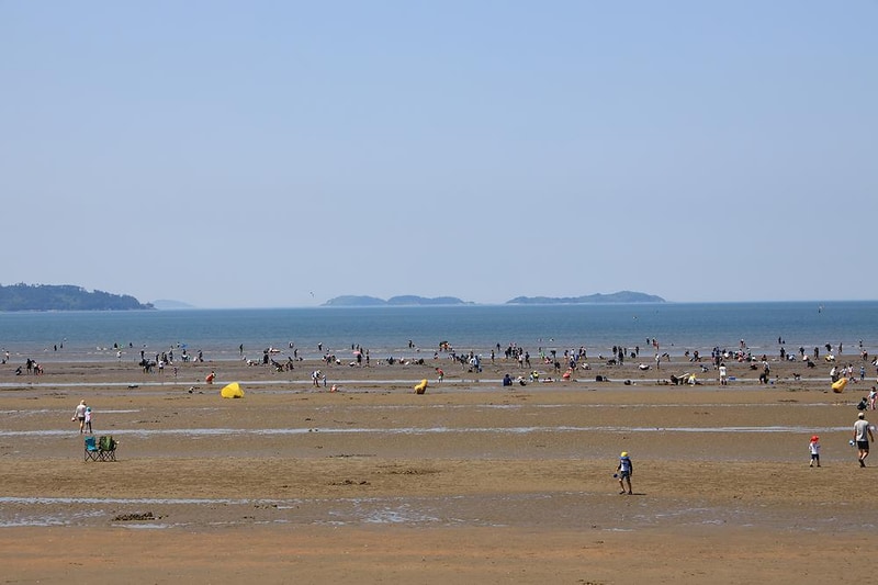 몽산포오토캠핑장 시설 사진 7