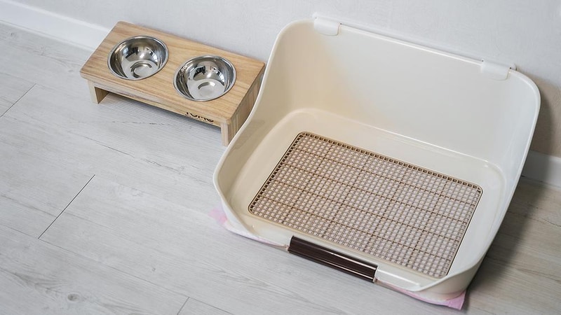 뷰델카라반펜션 시설 사진 1