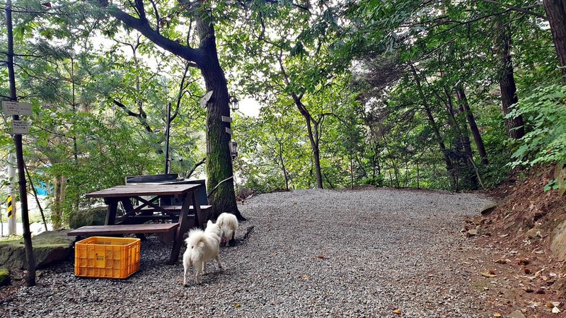 각화산캠핑장 시설 사진 2