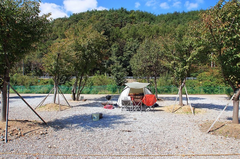 속리산알프스캠핑장&펜션 시설 사진 9