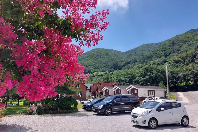 소백산자연누리야영장 시설 사진 2