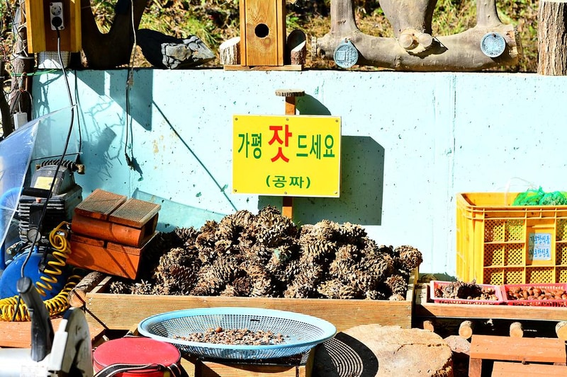 둥지캠핑장 시설 사진 7