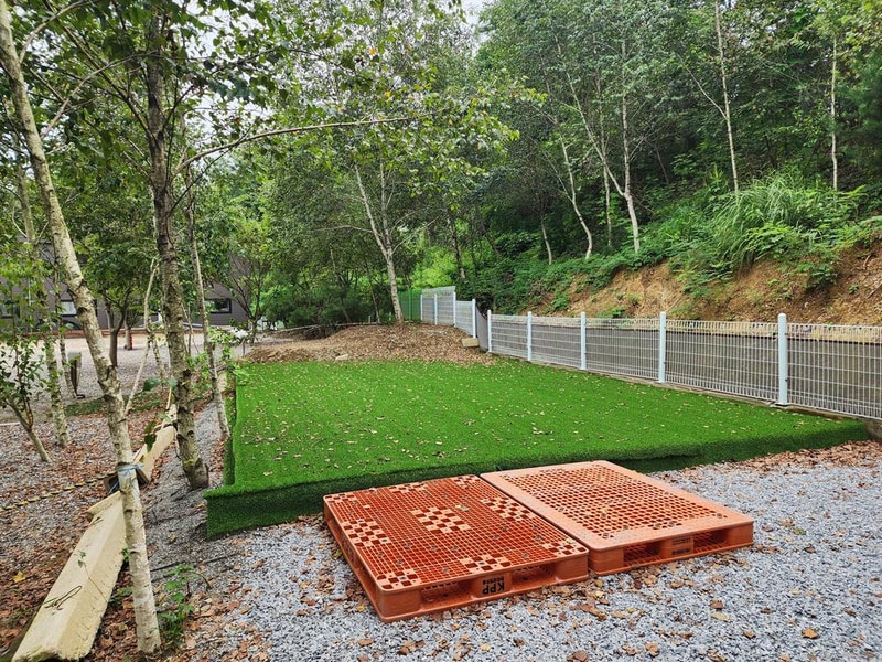 나무와 쉬리 시설 사진 12