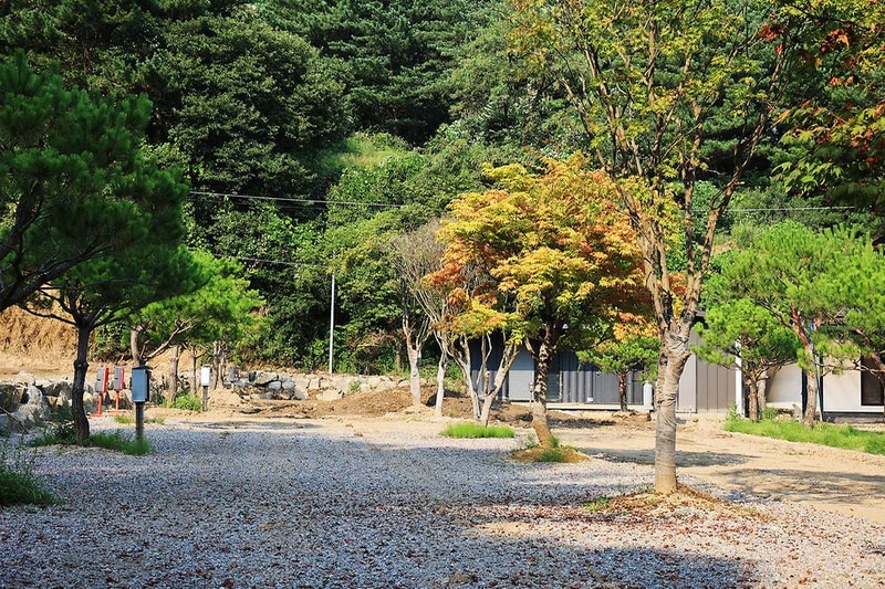 윤 오토캠핑장 시설 사진 7