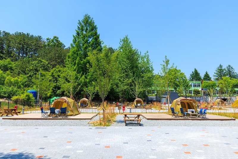 경상북도교육청김천오토캠핑장 시설 사진 10