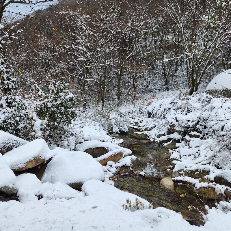 예원캠핑장 시설 사진 4
