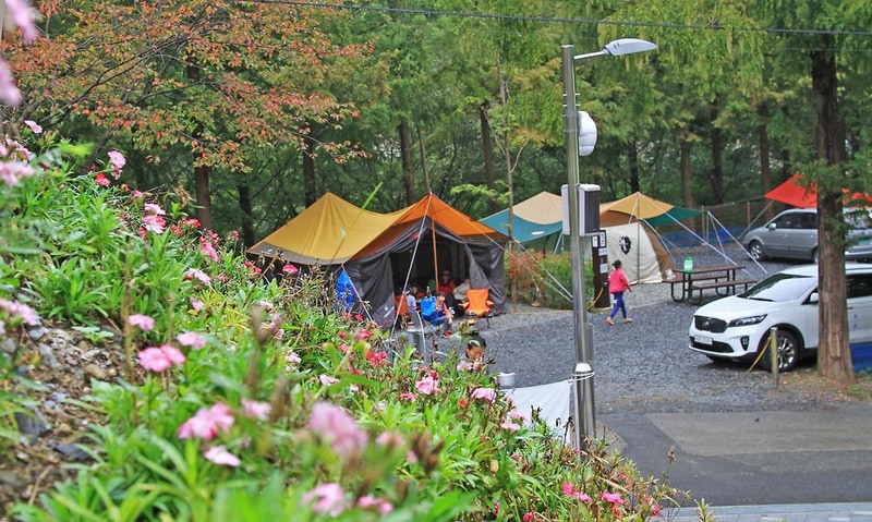 장태산 자연휴양림 시설 사진 6