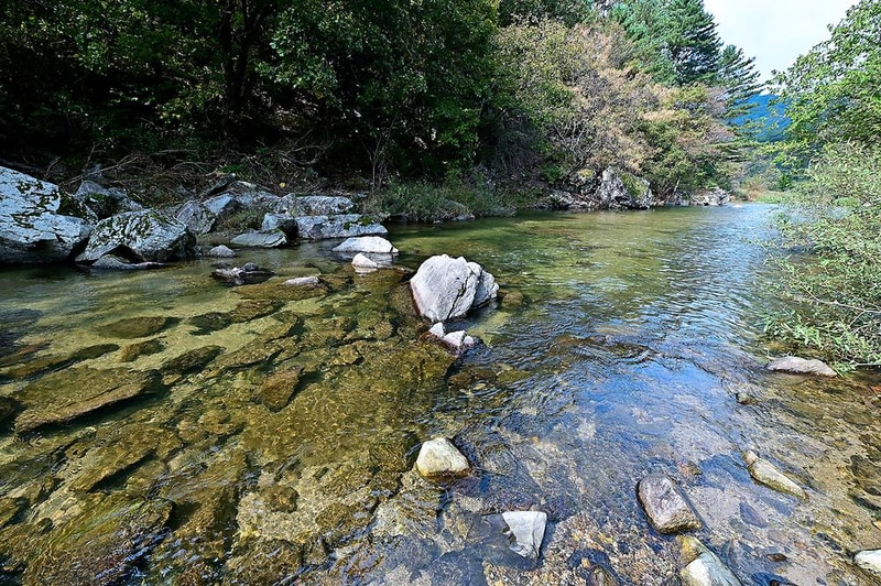 캠핑소리251 시설 사진 8