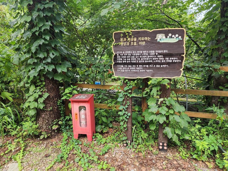 잣숲캠핑장 시설 사진 9