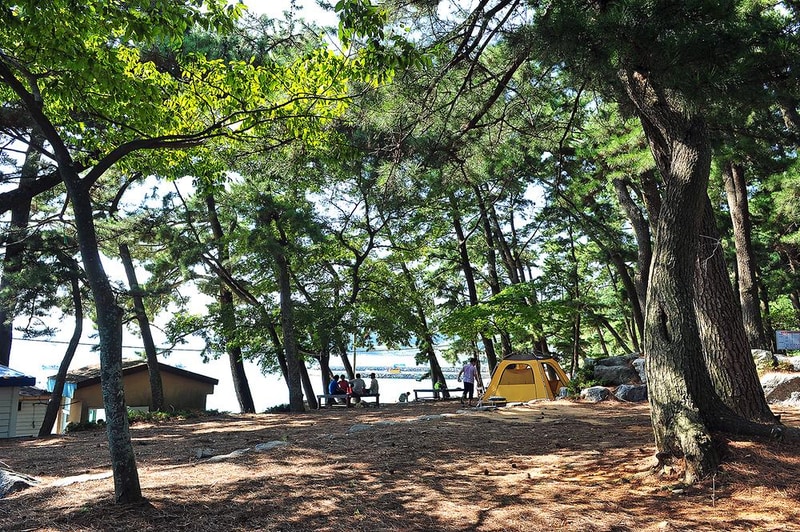 사촌해수욕장야영장 시설 사진 6