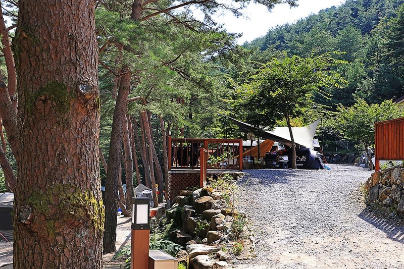 캠프 오어즈 시설 사진 26